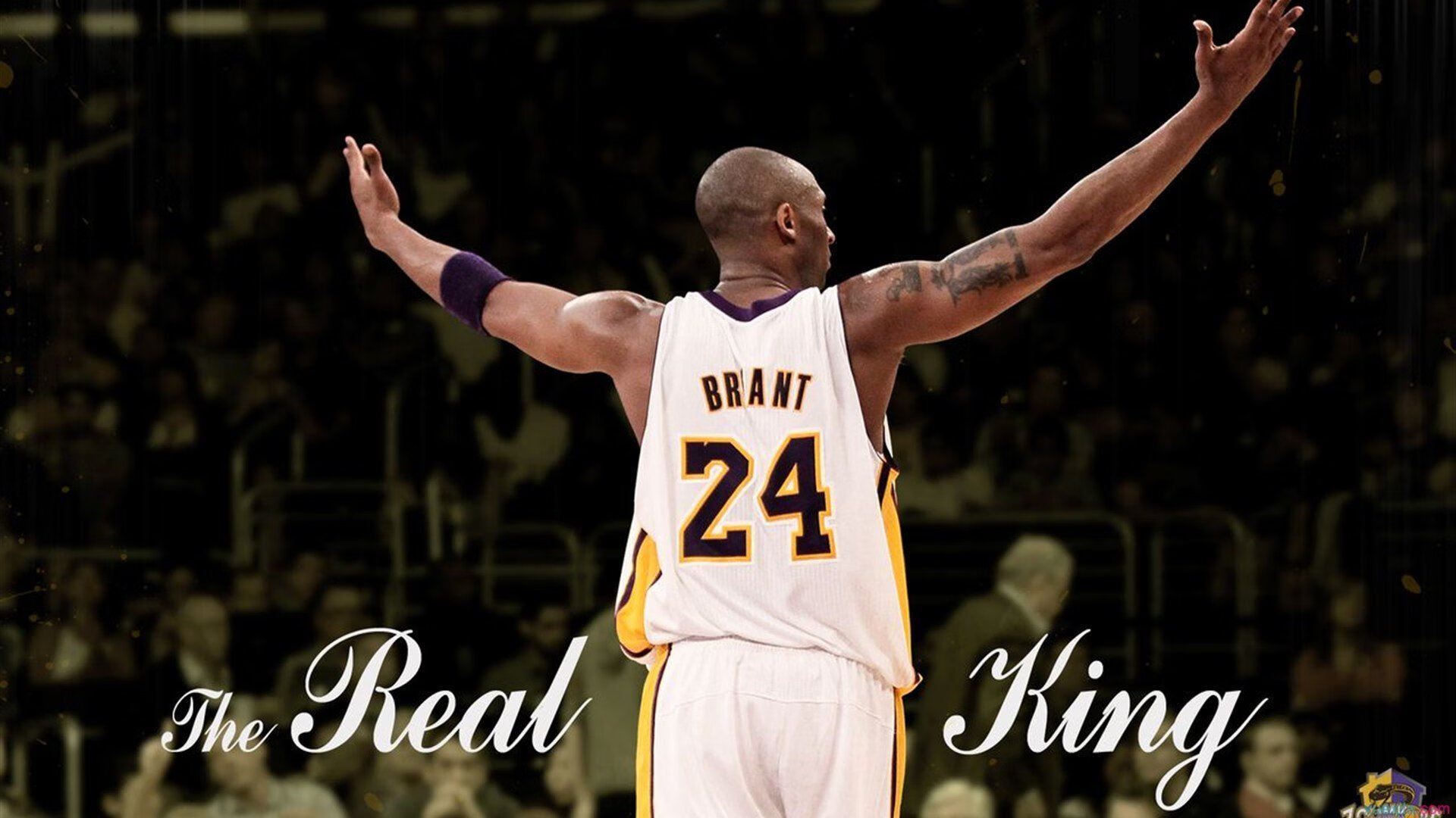 《ApexLegends》极夜突袭地图全新上线,战术多样化引领战场变革